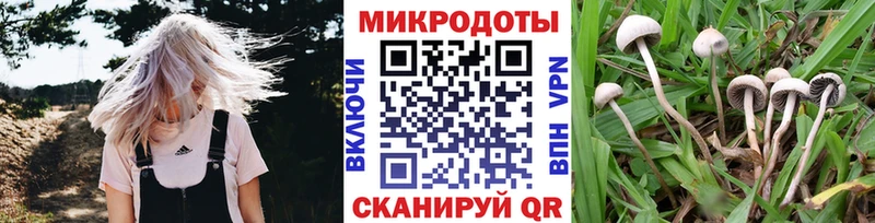 купить   Солнечногорск  Псилоцибиновые грибы Magic Shrooms 