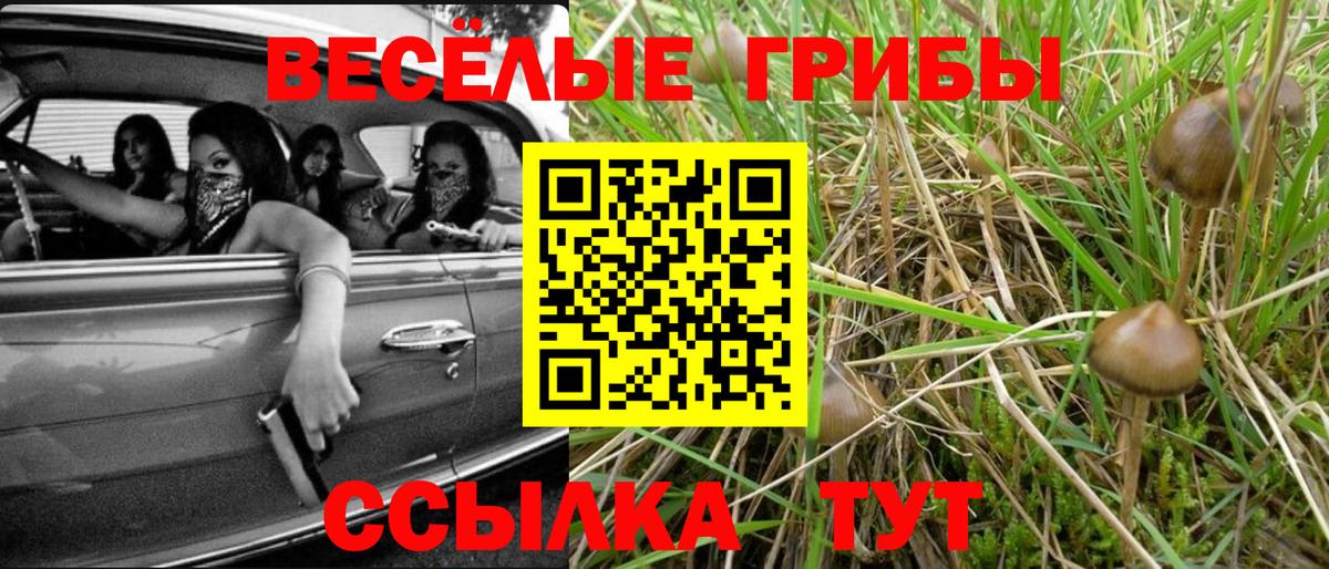Псилоцибиновые грибы GOLDEN TEACHER Солнечногорск
